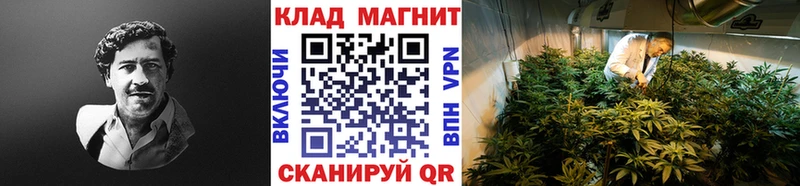 Что такое Нижний Новгород COCAIN  МДМА  Alpha PVP  МАРИХУАНА  Меф 