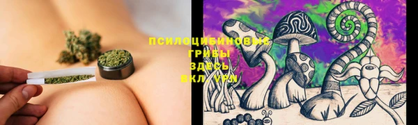 бошки Алексин