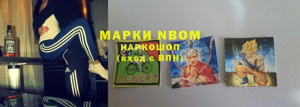 бошки Алексин